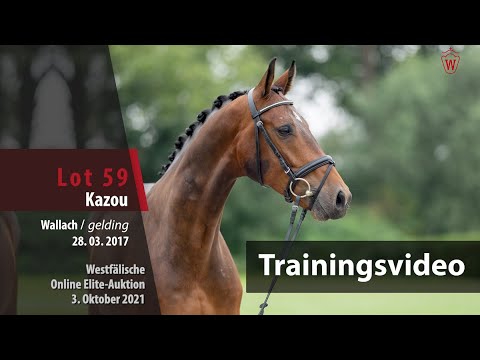 62. Elite-Auktion Training Lot 59 Kazou v. Kannan/Cornet Obolensky