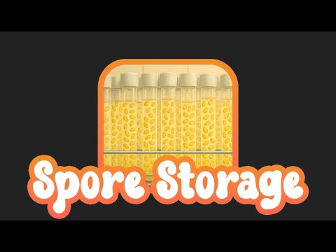 Mushroom Spore Storage Guide: How Long Can They Last?