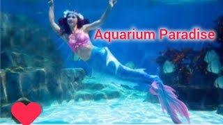 Beautiful mermaids 🧜‍♀️🧜‍♀️ mermaid show 😍