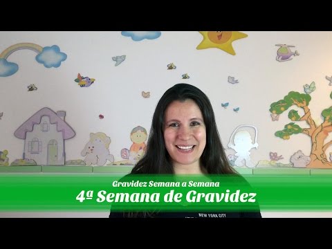 4ª SEMANA DE GRAVIDEZ