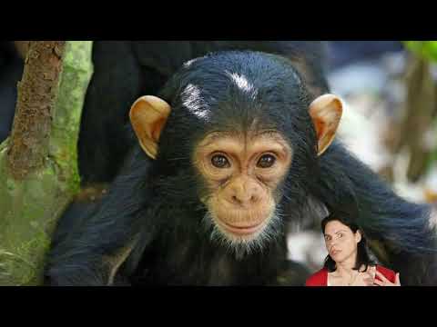 DIAMIR Erlebnisreisen: UGANDA - individuell erleben