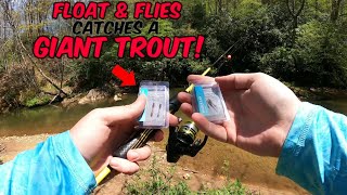 I Caught a GIANT TROUT using Float & Flies || Spin fishing with flies 101!