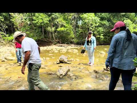 MONITOREO EN LA CUENCA HIDROGRÁFICA DEL RÍO MACHAQUILÁ│POPTÚN PETEN 2025.