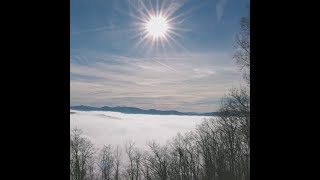 Living In Asheville, NC - Zillow Home | Made