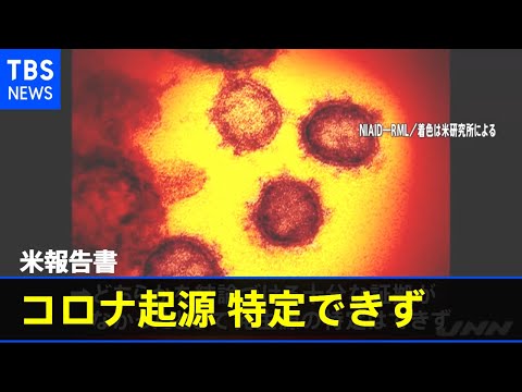 コロナウイルスの起源:研究者らがニュースを報告 – WHOの反応