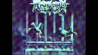 Warlord-Maximum Carnage