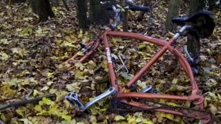 Tijuana Panthers - Four Horsemen (Music Video)