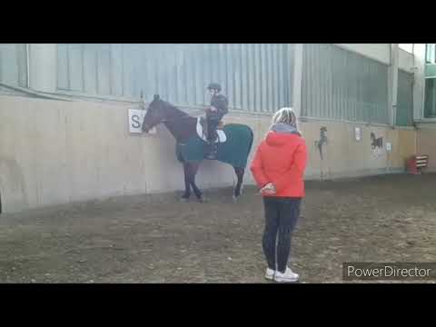 28 febbraio  2020  Gabriele a cavallo  a Paderno  Dugnano  presso la   prateria