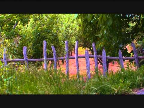 "Pod Pelister, Brajcino" od serijalot "Cudesna zemja"