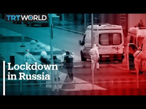 Russian President Vladimir Putin approves week-long workplace shutdown as deaths soar