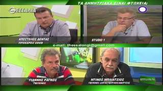 Τα δημητριακά είναι φτώχεια; Θεσσαλών Γη 08 06 2015