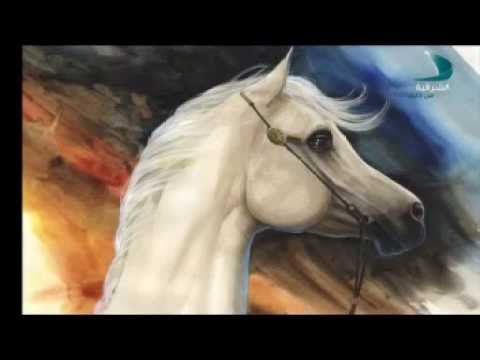 img-video