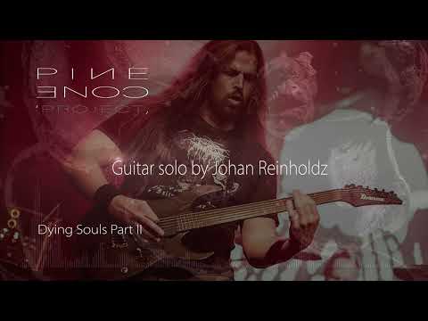 Pine Cone Project - Guitar solo By Johan Reinholdz