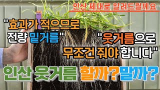 웃거름은 무조건 NK? 인산은 왜 웃거름으로 안줄까? | 폴리인산 나오기 전까지는 이런 논쟁이 없었습니다. …
