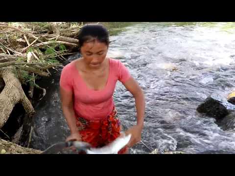 Survival skills: Catch big fish in river & Grilled for food - Cooking big fish eating delicious Video