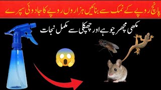 Get rid of rats, Mosquito, cockroach, lizard with homemade spray|powerful insects killer remedy🙄