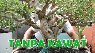 Download lagu 'INSANE'🙄🙄RESULTS OF THE WIRELESS PROGRAM mp3