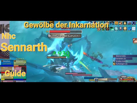 Gewölbe der Inkarnation | Sennarth | NHC | #guide #commentary #dragonflight #raid #pve #nhc #shaman