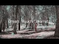 Ryuichi Sakamoto - Dream II Extended