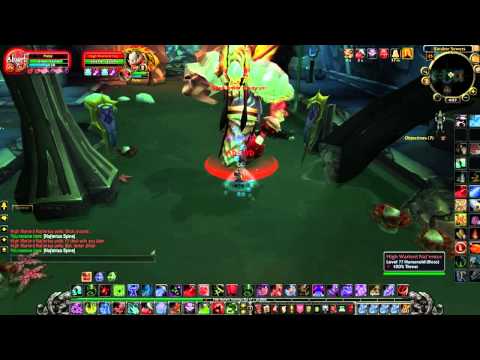 How to solo High Warlord Naj'entus in Black Temple - Real-time w/ commentary