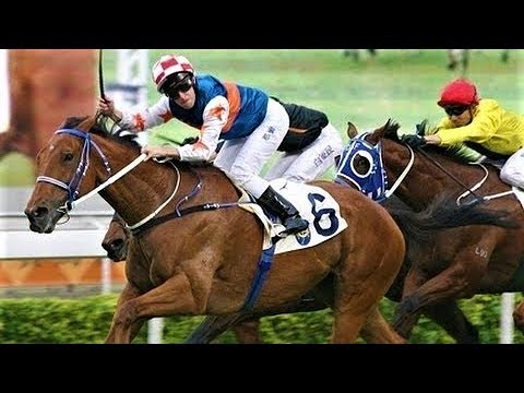 2010 The Mission Hills Sha Tin Trophy - Thumbs Up (自由好) - 都爾