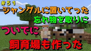 【マイクラ/Switch/統合版】サバイバル生活＃５１　！
