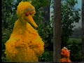 Sesame Street Scenes From 3249