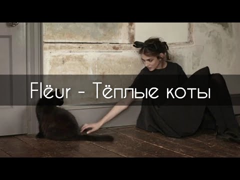 Flëur - Тёплые коты[текст]