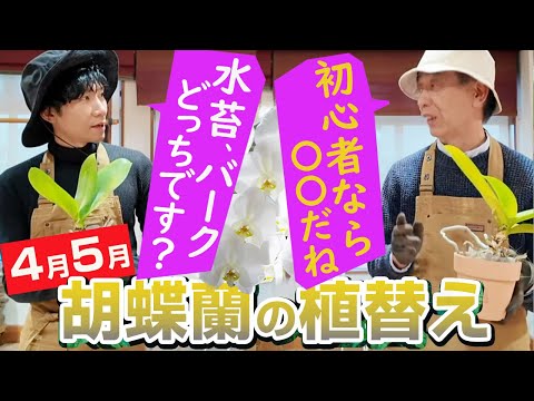 蘭の手入れの 5 つの黄金律 トピックス