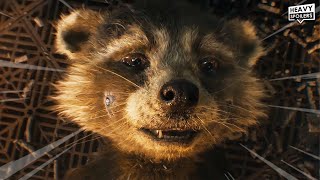 Please don&#39;t do this to Rocket