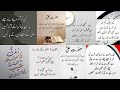 Best Urdu Quotes Urdu Islamic Quotes Best Quotes About Life True Lines Motivational Quotes