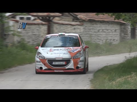 2017 Rally Bulgaria / Grigor Grigorov - Daniel Milenkov / Peugeot 208 R2