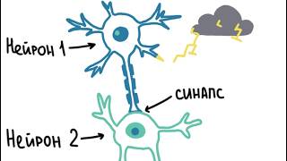 b3 thumbnail