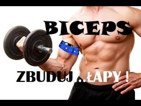 Ile trzeba węglowodanów podczas budowania mięśni Kulturystyka w Krasnojarsku