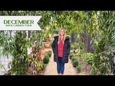 From Secret Garden to the MASSIVE Hugelmound! |  December Back Garden Tour