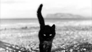 Cat Walk - John Coltrane. HD.
