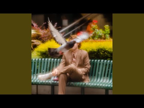 Affectionately video