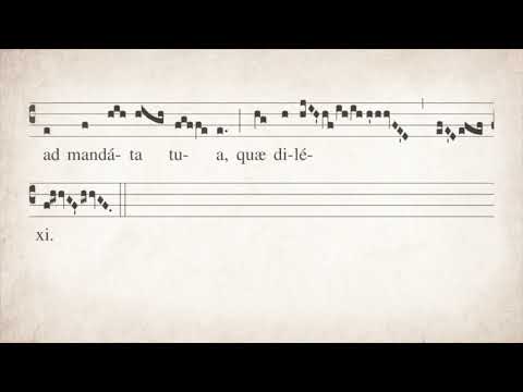 Dominica II Quadragesima: Offertorium   Meditabor