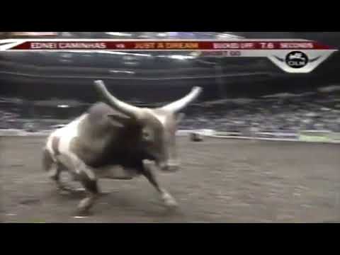 Sudden Impact bucks Ross Coleman - 05 PBR Uniondale