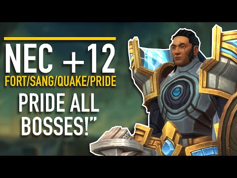 +12 Necrotic Wake | Prot Paladin Shadowlands