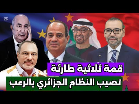 أبي طالب الموريتاني قمة مصغرة بين الملك محمد السادس و السيسي بن زايد 