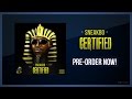 SNEAKBO - RING A LING @Sneakbo CERTIFIED ...