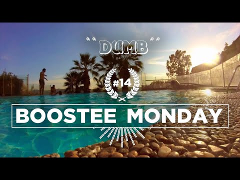BOOSTEE MONDAY #14 - Dumb