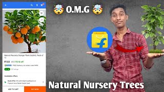 Unboxing Plants From Flipkart🤯😨 फ्लिपकार्ट में मिल रहे हैं पेड़ #Flipkart #PlantsFromFlipkart #Plant