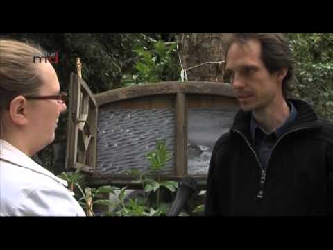 080612 Projekt "Vitopia" im Herrenkrug Magdeburg