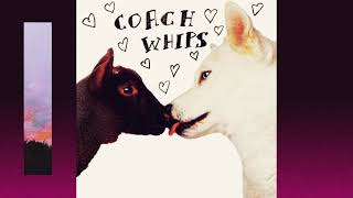 Coachwhips - You Gonna Get It