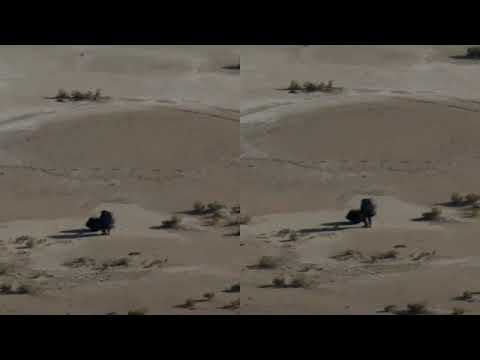 Osiris Sample Recovery Crosssview Movie