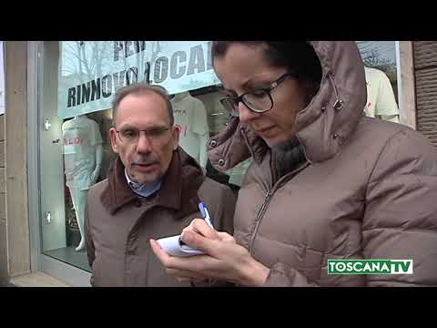 2019-01-23 PRATO - TAGLIO ALBERI VIALE MONTEGRAPPA, PARLA L'ESPERTO