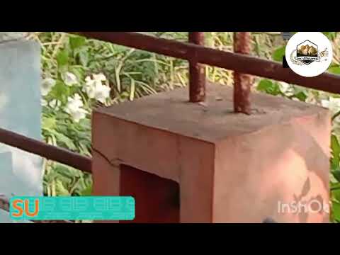 New Year wishes to all|| PALUVASANTHALU|| SHARADHA KOKKONDA || GREETINGS ||