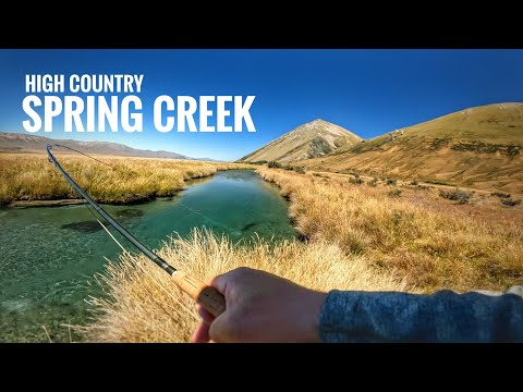 This is the Best High Country Spring Creek Fishing i Have Ever Had!